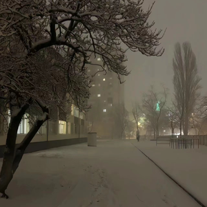 美女性爱内射在线观看
