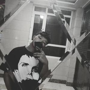 美女性爱内射在线观看
